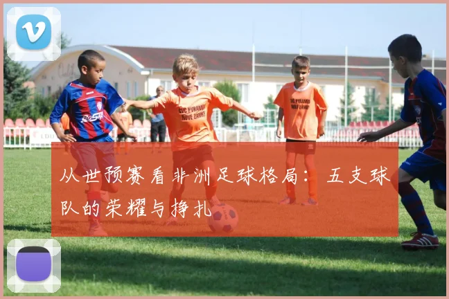 从世预赛看非洲足球格局：五支球队的荣耀与挣扎